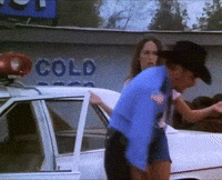 Dukes Of Hazzard Television GIF