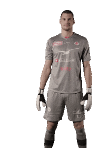 Soccer Raphael Sticker by FC Winterthur