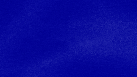 Greenday GIF by Jeopardy!