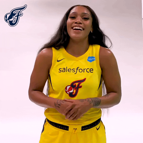 Not Funny Basketball GIF by Indiana Fever