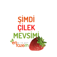 Sticker by entazem