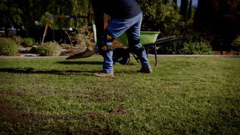 Landscaping Animation