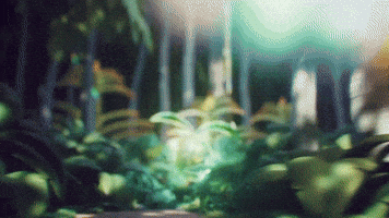 Pokemon Tcg Kissy Face GIF by Pokémon