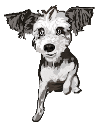 Dog What Sticker by Cyndee Godsey