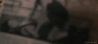 diary of a wimpy kid GIF by 20th Century Fox Home Entertainment