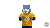 Ice Hockey Sport GIF by NHL