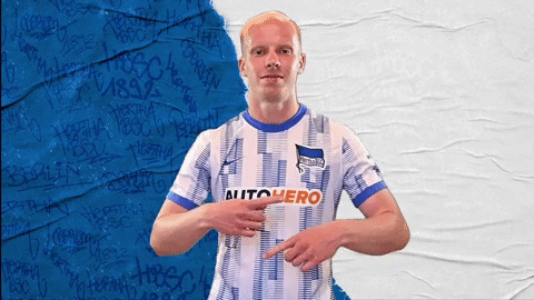 Dj Bundesliga GIF by Hertha BSC
