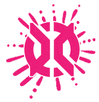 Pickleball Sticker by Escalade Sports