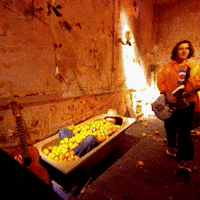 Grant Nicholas Fruit GIF by Feeder