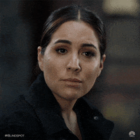 Season 5 Episode 8 Ok GIF by Blindspot