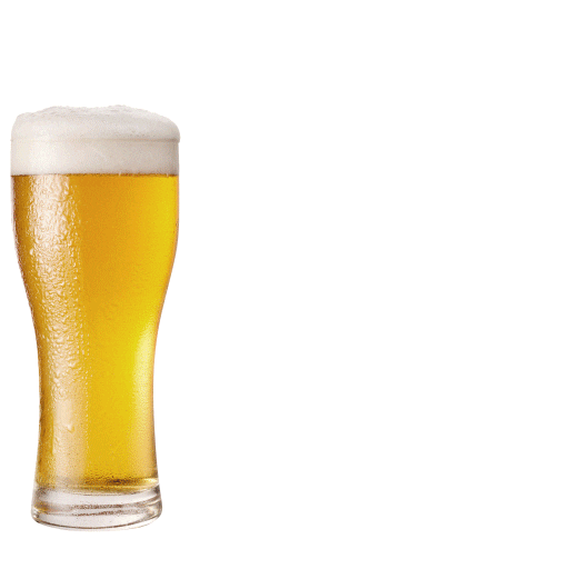 CervezaBohemia giphyupload cerveza pilsner bohemia Sticker