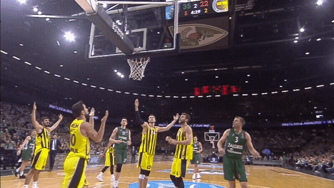 lets go yes GIF by EuroLeague