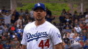 major league baseball sport GIF by MLB