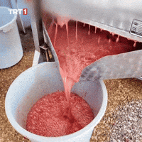 Cringe Omg GIF by TRT