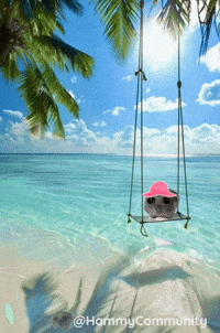 Water Beach GIF by Sad Hamster