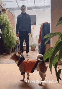 Dog Guillermo GIF by TakeThree Studio