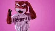 hotline bling ozzie t cougar GIF by Kane County Cougars