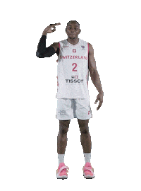 Head Boris Sticker by Swiss Basketball