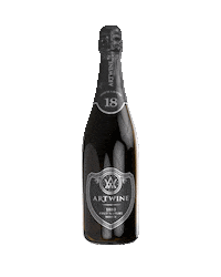 Celebration Sparkling Sticker by artwinery