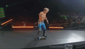 wwe skate GIF