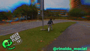 Parkour Pk GIF by Greenplace TV
