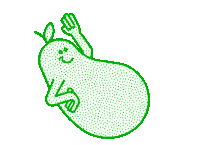 Happy Fruit Sticker