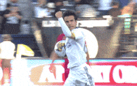 Celebrate Los Angeles GIF by Major League Soccer
