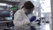TAMUScience science lab research biology GIF