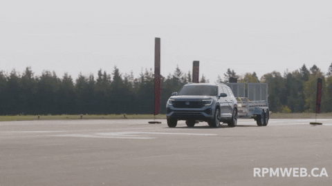 marie-francerock giphyupload GIF