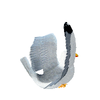 Dance Dancing Sticker