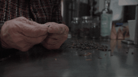 sydisenbergD7 giphygifmaker GIF