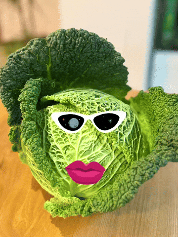 Cabbage Wirsing GIF