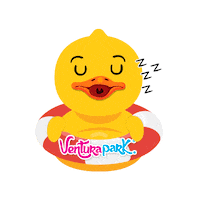 Riviera Maya Fun Sticker by VenturaPark Cancun