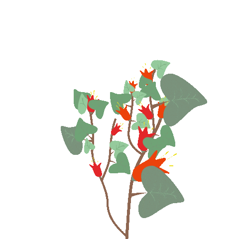 Marya12817 giphyupload tree plant red flowers Sticker