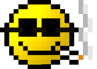 page raiders STICKER