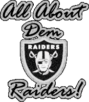 page raiders STICKER