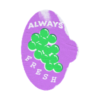 Fresh Sticker by Thru The Grapevine
