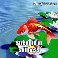 Glow Water Lilies GIF by TheConfishius