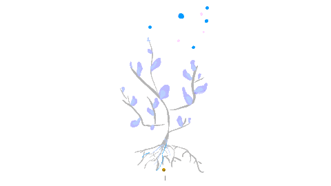 Effects Sticker