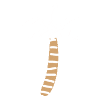 Palm Tree Travel Sticker by kikki.K