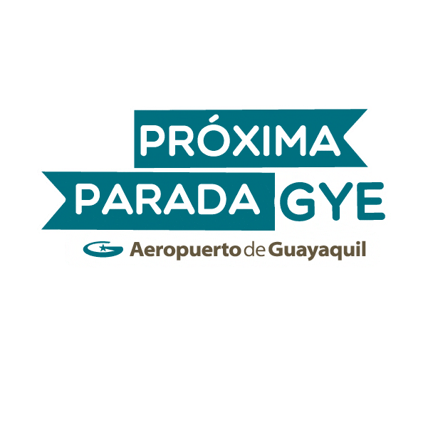 TAGSA giphyupload vacaciones viajar avion Sticker