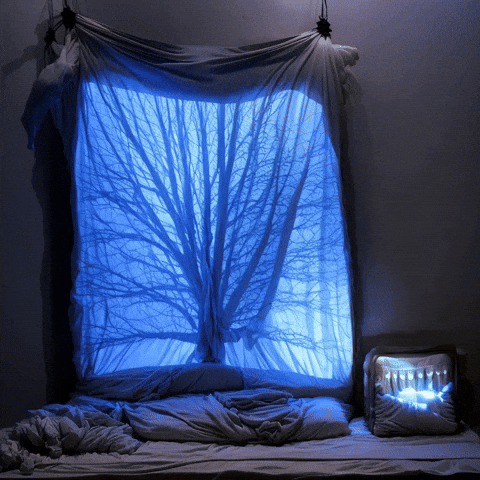 Bg Network GIF by Aleksey Efremov