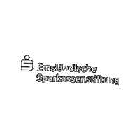 Sparkasse-Emsland sparkasse emsland emsländische sparkassenstiftung Sticker