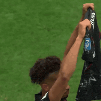 Fifa World Cup Football GIF