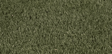 Womens Lacrosse GIF by Lafayette Leopards