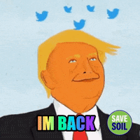 Happy Donald Trump GIF by Save Soil