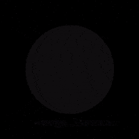 Bariatricsurgery Cirugiabariatrica GIF by Dr. Bortolotti