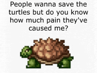 Giant Tortoise Terraria GIF