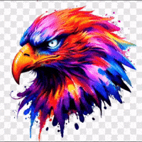 ashvinsrkian eagle artistic ashvinsrkian best art GIF