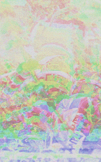 glitch internet GIF
